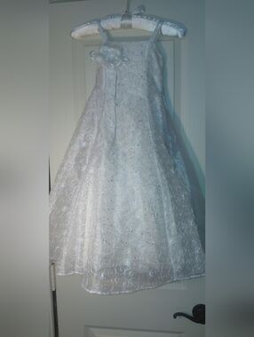 Princess Girls Formal, Lace, Embroidery, Lined, Petticoat Netting Sz 4, Dressup
